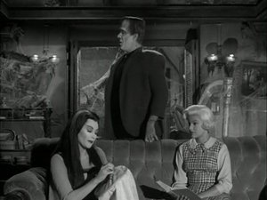 Poster for Follow That Munster
