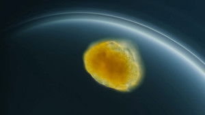 Poster for Some Eggs Don't Need Sperm to Make Babies