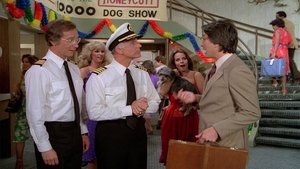 Poster for The Dog Show: Putting on the Dog/Going to the Dogs/Women's Best Friend/Whose Dog Is It Anyway?