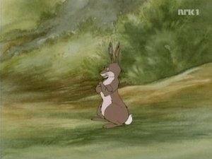 Poster for The Missing Fox's Friend