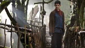 Poster for The Eye of the Phoenix