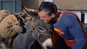 Poster for The Brainy Burro
