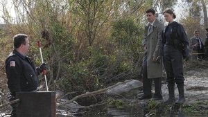 Poster for The Boneless Bride in the River