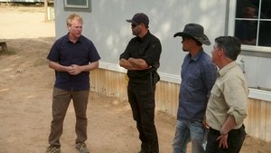 Poster for Look, Up in the Sky