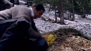 Poster for European Alps