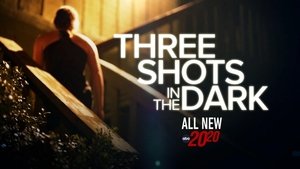 Poster for Three Shots in the Dark