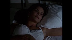 Poster for The Rabbit and the Fox