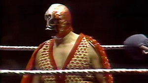 Poster for Madison Square Garden: Dec. 19, 1977