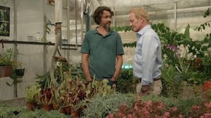 Poster for Episode 247