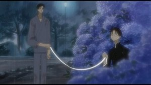 Poster for Hydrangea