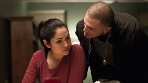 Poster for Loyalty Poster for Loyalty