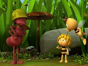 Poster for Dancing with Bees