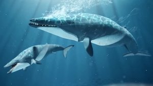 Poster for How Whale Evolution Kind Of Sucked