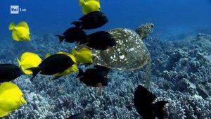 Poster for Resistant bacteria, the Entracque dam, expeditions and lunar bases