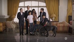 Poster for Bamboo Shot