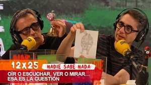 Poster for Episode 25