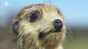 Poster for Episode 4