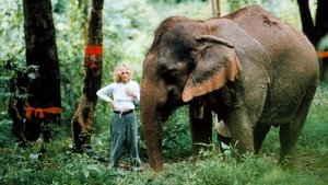 Poster for The White Elephants of Thailand with Meg Ryan
