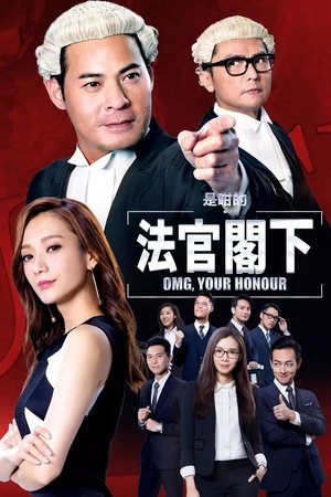 是咁的 法官阁下