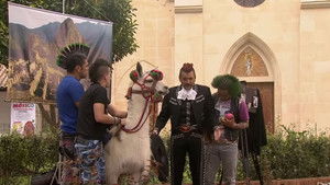 Poster for Llama the llama