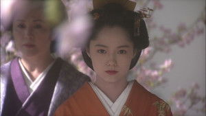 Poster for The Shogun's Secret