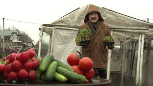 Poster for Episode 14