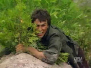 Poster for Wolf Hunt