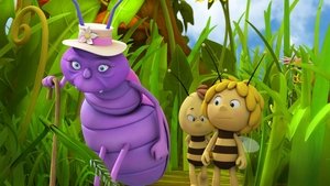 Poster for Mrs Hermit Beetle's Journey