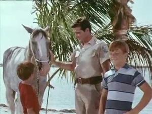 Poster for Flipper and the Horse Thieves