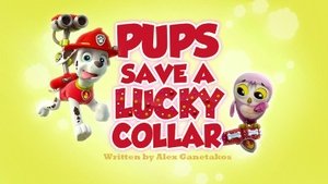 Poster for Pups Save a Lucky Collar