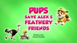Poster for Pups Save Alex's Feathery Friends