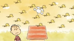 Poster for Fly