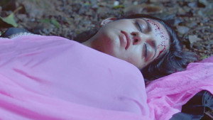 Poster for Will Pragati Survive?