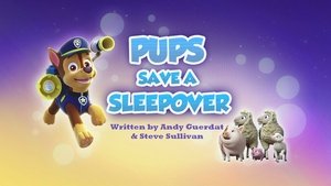Poster for Pups Save a Sleepover