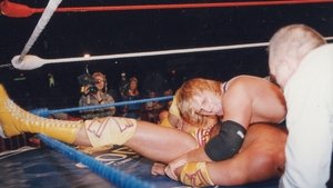 Poster for The Final Days of Owen Hart