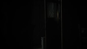 Poster for The Asylum Poster for The Asylum