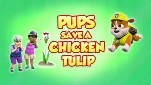 Poster for Pups Save a Chicken Tulip