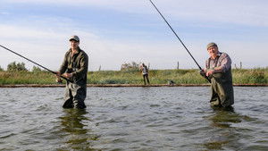 Poster for Episode 14