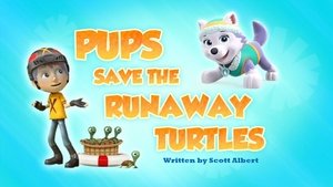 Poster for Pups Save the Runaway Turtles