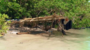 Poster for Episode 7