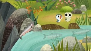 Poster for The Salmon Leap