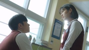 Poster for Different Ways of Seeking Happiness