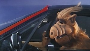 Poster for Baby, You Can Drive My Car