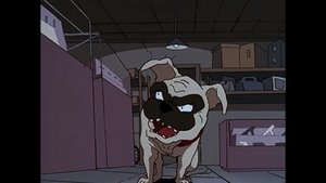Poster for The Irritable Bow-Wow Syndrome