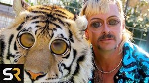 Poster for Netflix's Tiger King Pitch Meeting