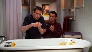 Poster for The One with the Chick and the Duck