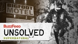 Poster for The Harrowing Hunt For Bigfoot
