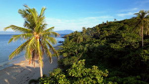 Poster for Episode 13