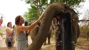 Poster for One Fight in Bangkok