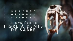 Poster for Episode 12